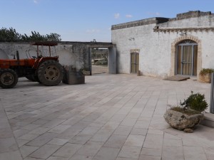 DSCN0005